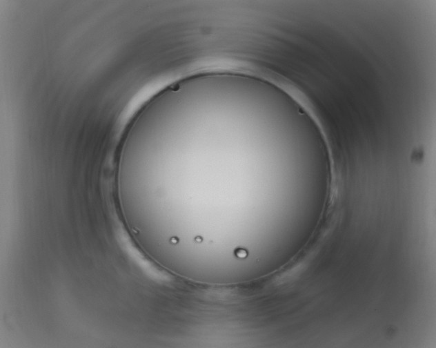 X0000114181053200910221709