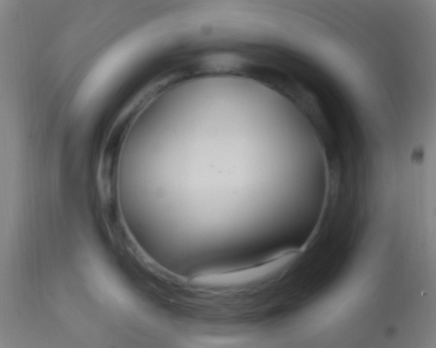 X0000114181054200910221709