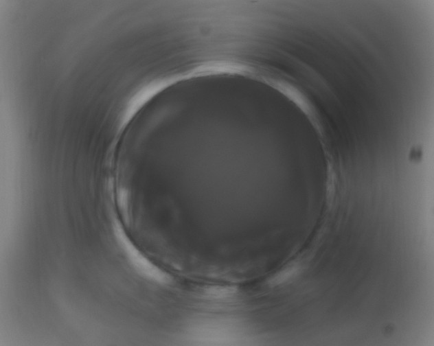 X0000114181055200910221709