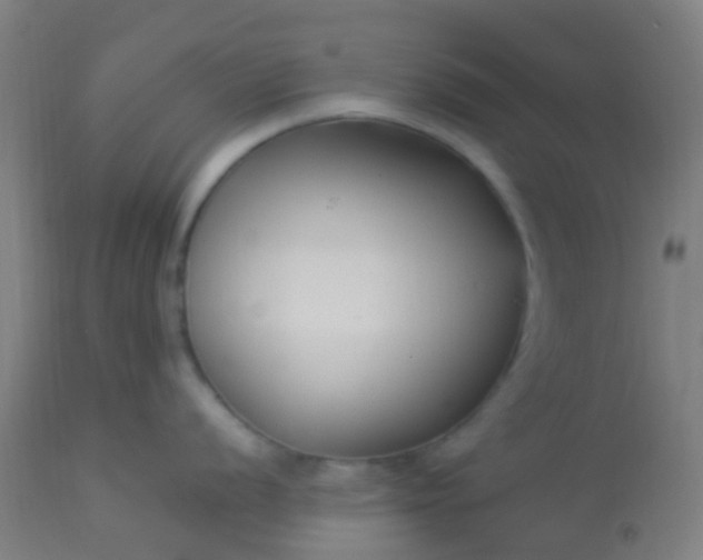 X0000114181056200910221709