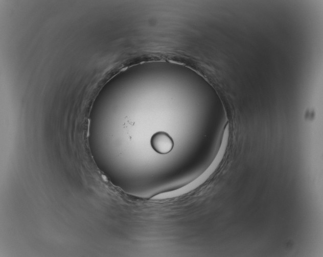 X0000114181057200910221708