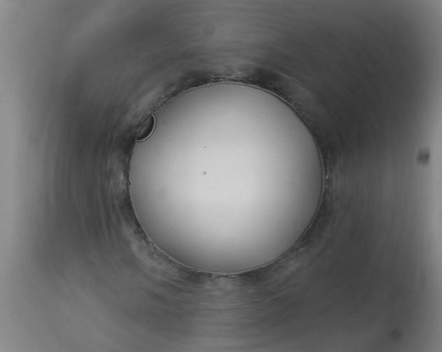 X0000114181058200910221708