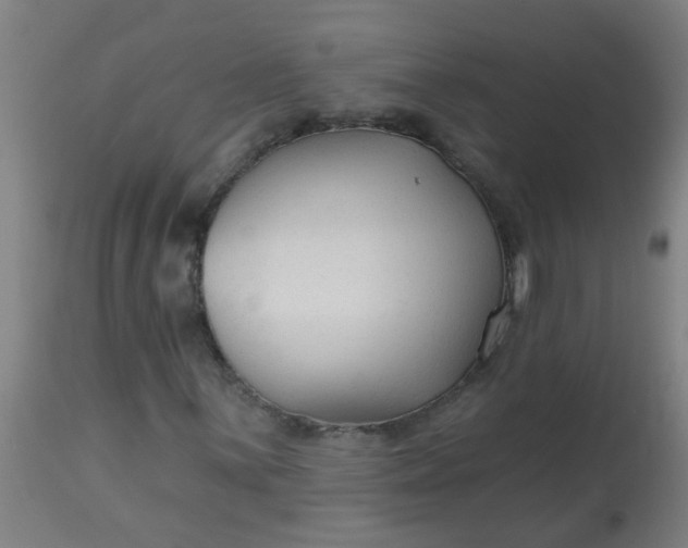 X0000114181059200910221708