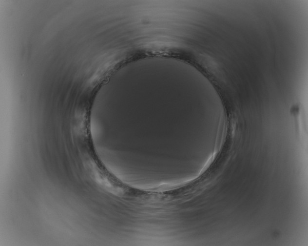 X0000114181060200910221708