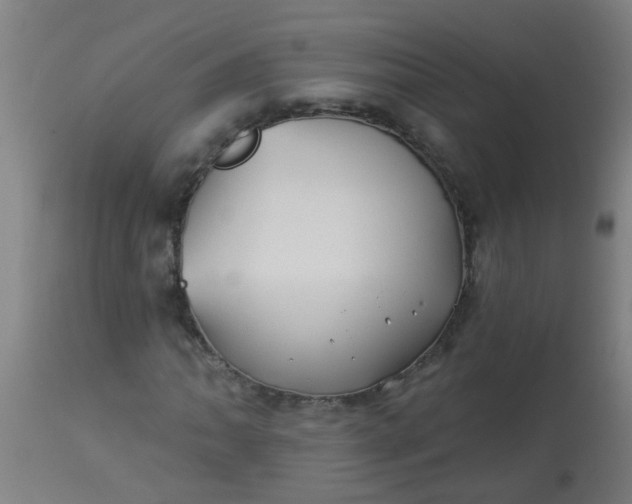 X0000114181062200910221708