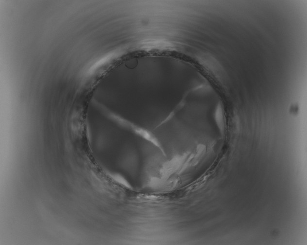 X0000114181063200910221708