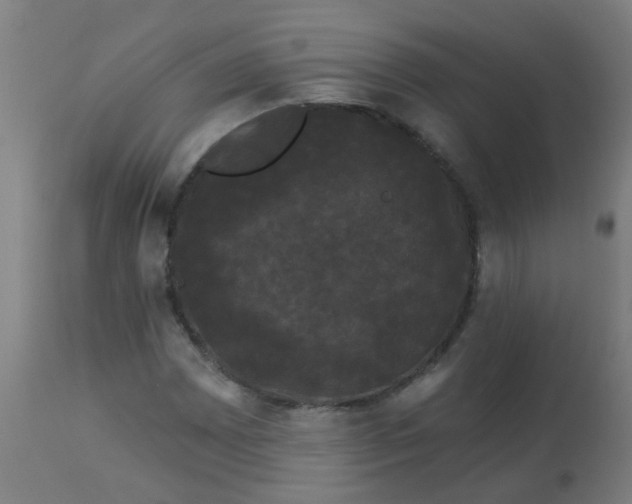 X0000114181065200910221708