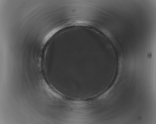 X0000114181066200910221708