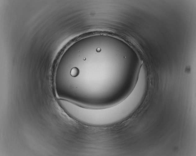 X0000114181068200910221708