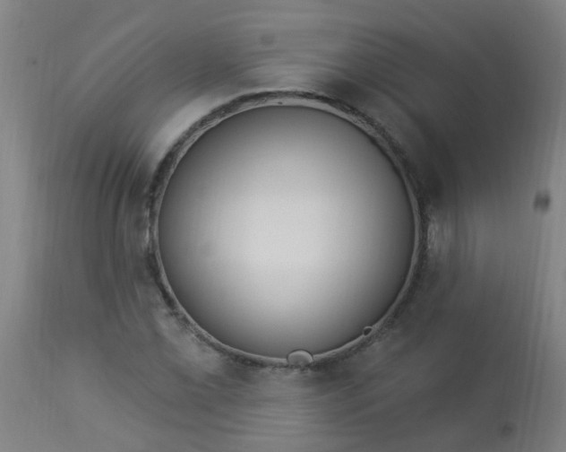 X0000114181069200910221708