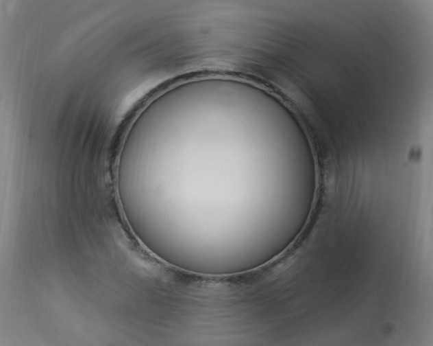 X0000114181070200910221708