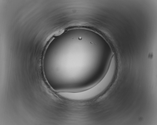 X0000114181073200910221708