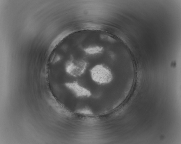 X0000114181074200910221708