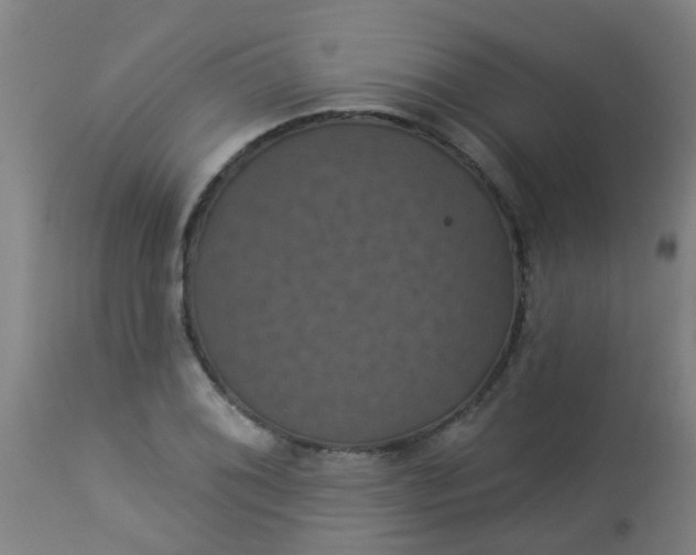 X0000114181076200910221708