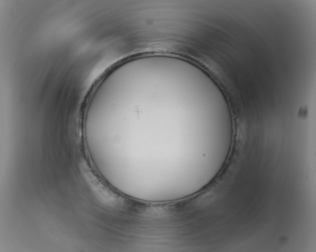 X0000114181078200910221708