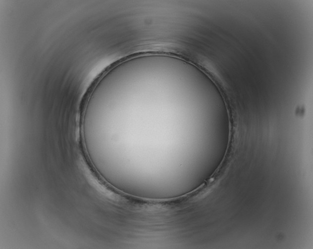 X0000114181079200910221708