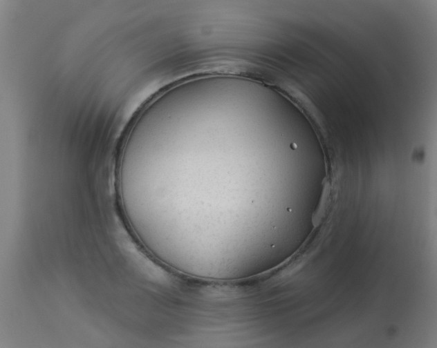 X0000114181083200910221708