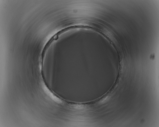 X0000114181084200910221708