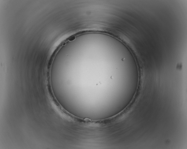 X0000114181085200910221708