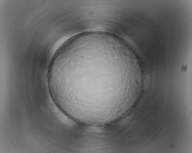 X0000114181086200910221708