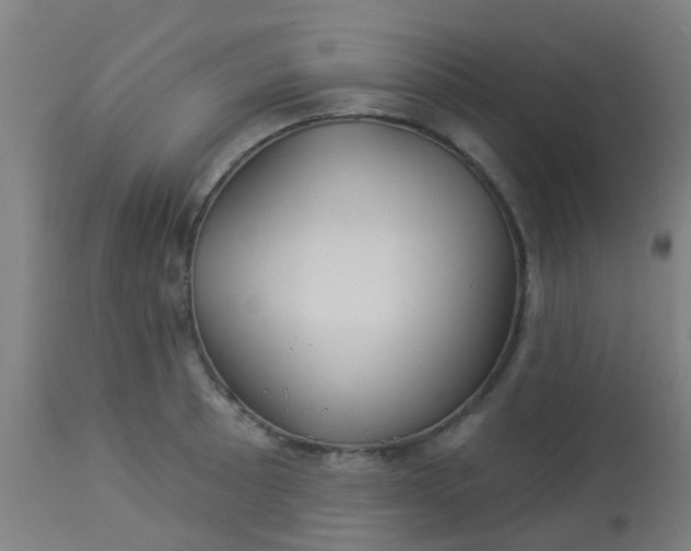 X0000114181089200910221708