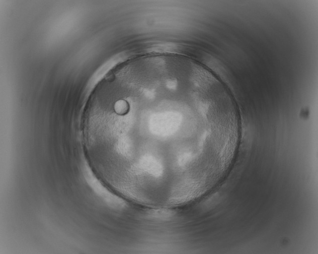 X0000114181090200910221708