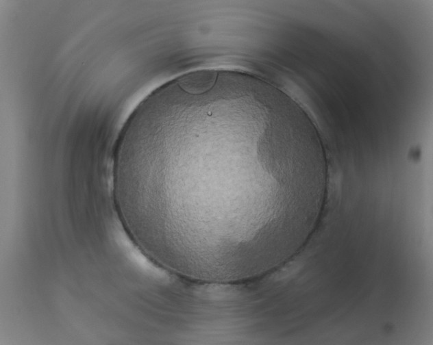 X0000114181092200910221708