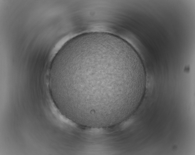 X0000114181094200910221708