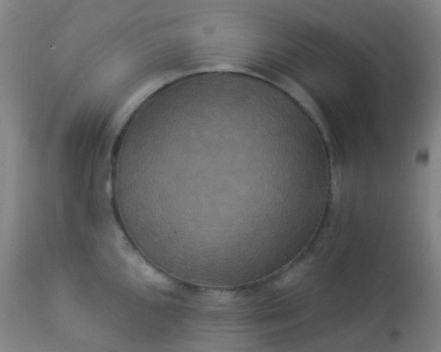 X0000114181096200910221708