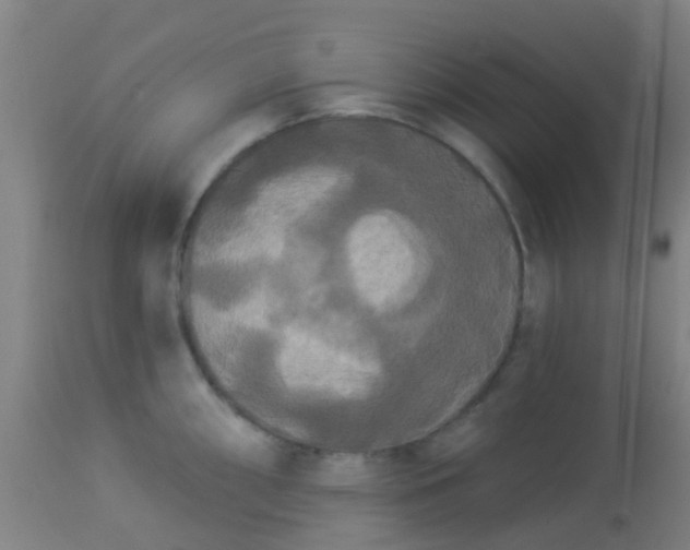 X0000114181098200910221708