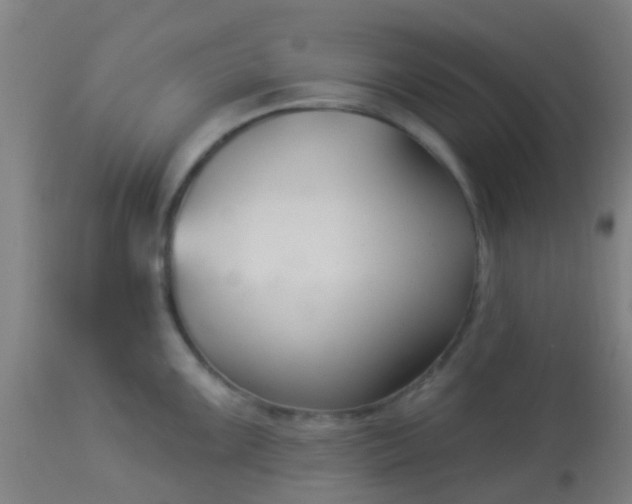 X0000114181099200910221708