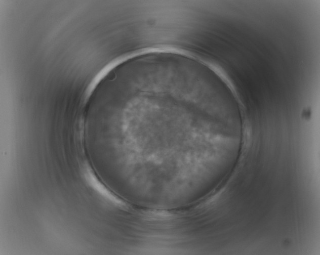 X0000114181100200910221708