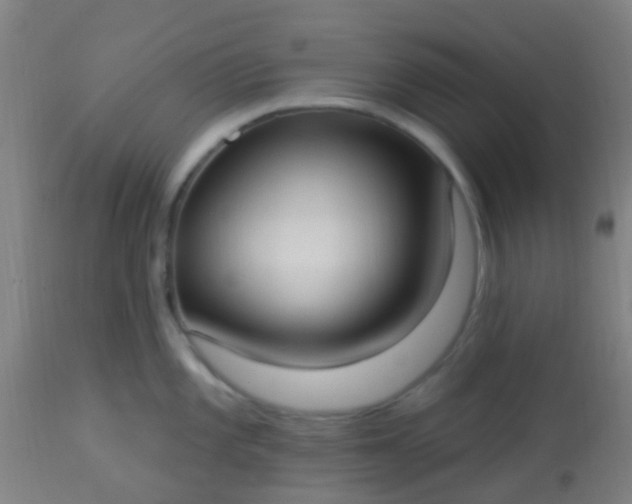 X0000114181101200910221708