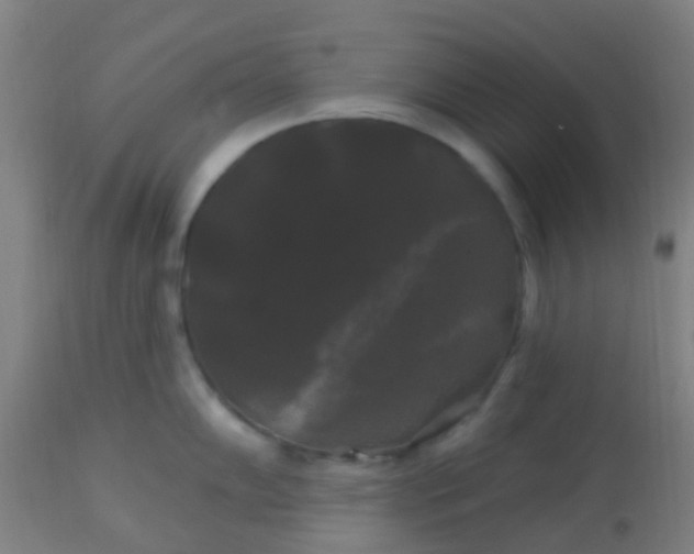 X0000114181102200910221708