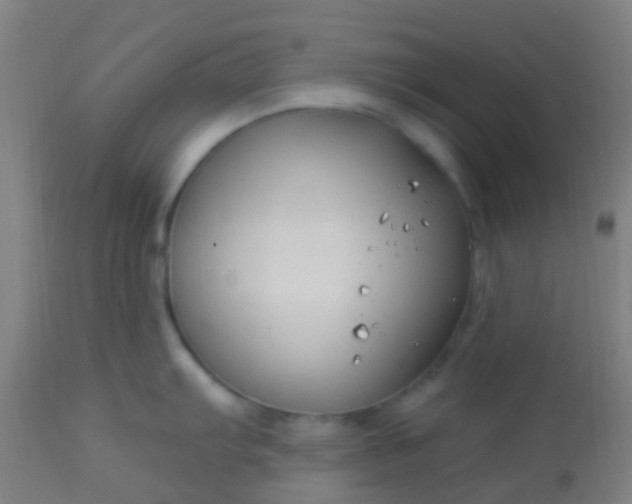 X0000114181103200910221708