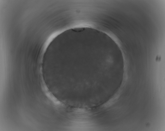 X0000114181104200910221708