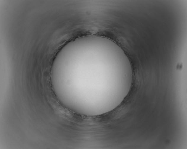 X0000114181105200910221707