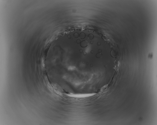 X0000114181106200910221707