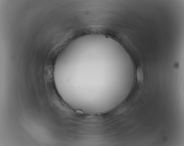 X0000114181107200910221707