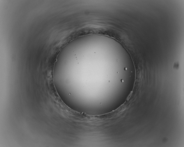 X0000114181109200910221707