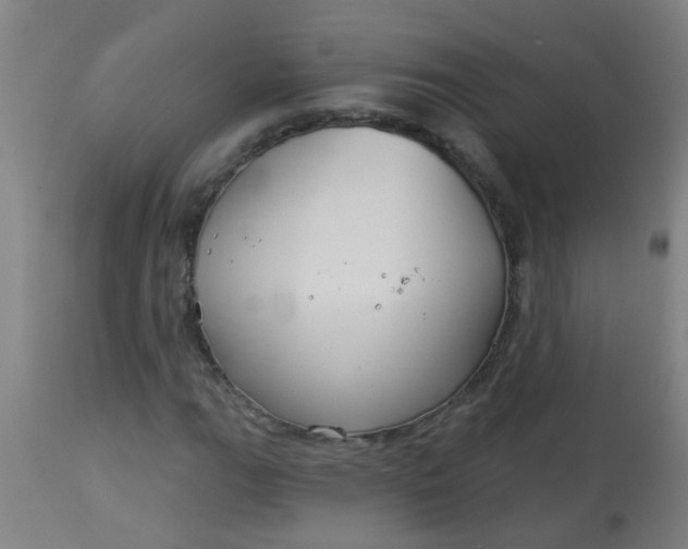 X0000114181111200910221707