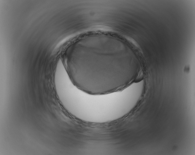 X0000114181112200910221707