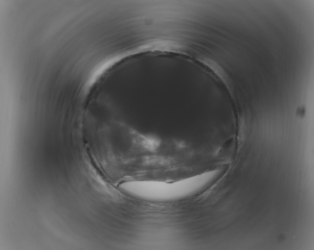 X0000114181115200910221707