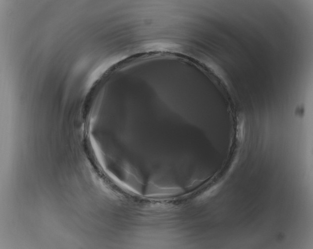 X0000114181117200910221707