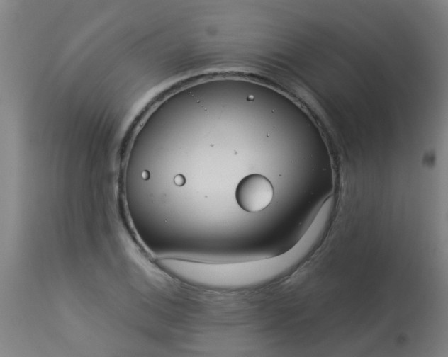 X0000114181124200910221707