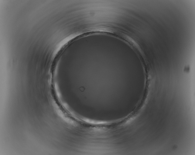 X0000114181125200910221707