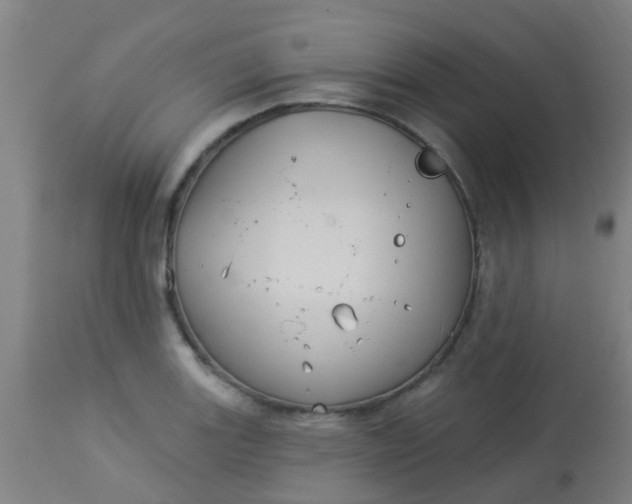 X0000114181131200910221707