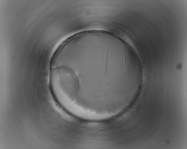 X0000114181132200910221707