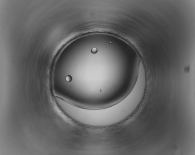 X0000114181134200910221707