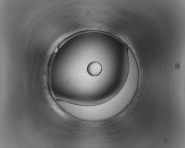 X0000114181136200910221707